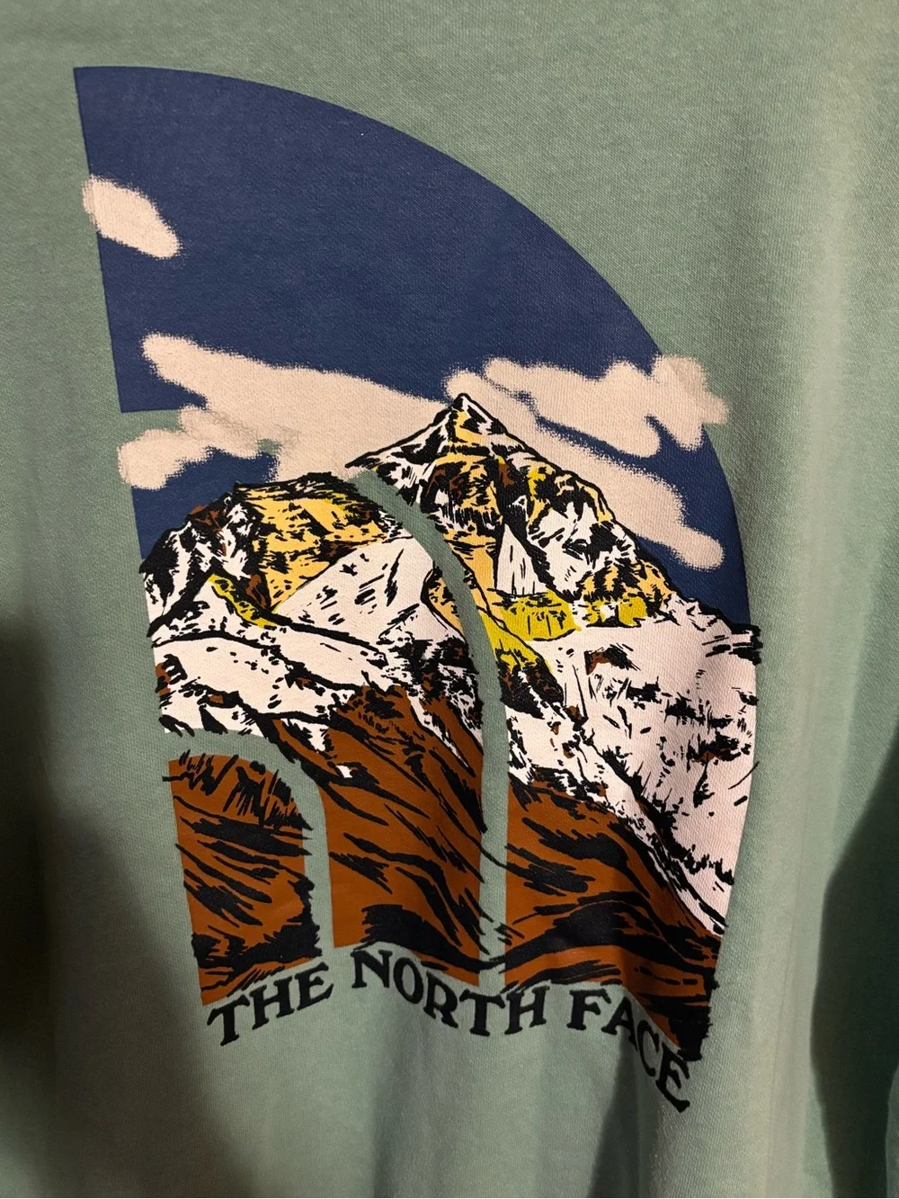 The North Face Men's Sage Green Hoodie